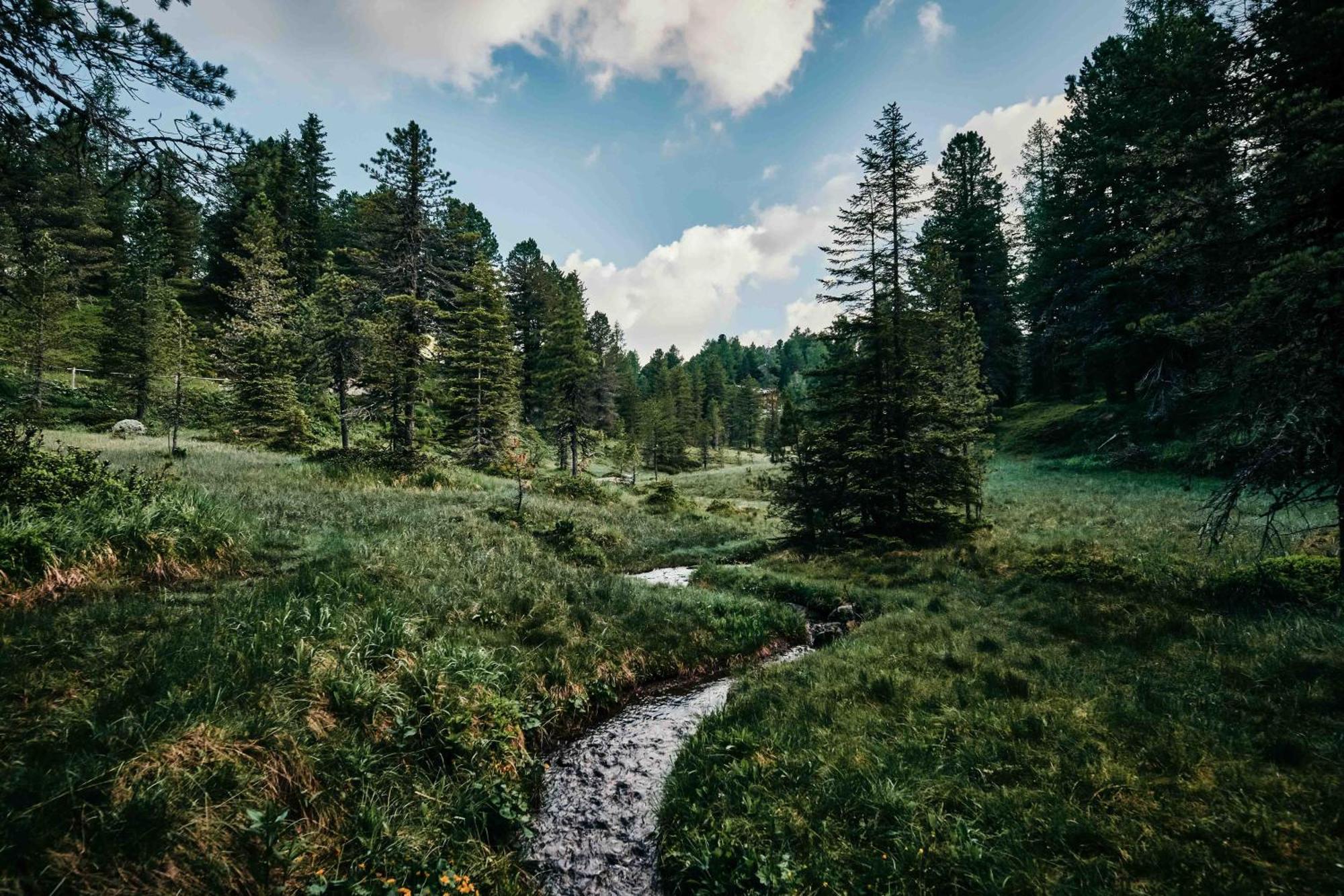 Hotel Hochschober Turracher Hohe Zewnętrze zdjęcie